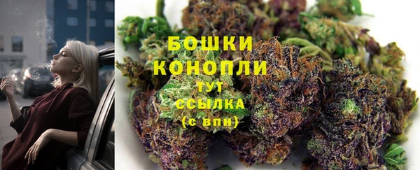 тгк Горно-Алтайск