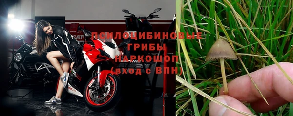тгк Горно-Алтайск
