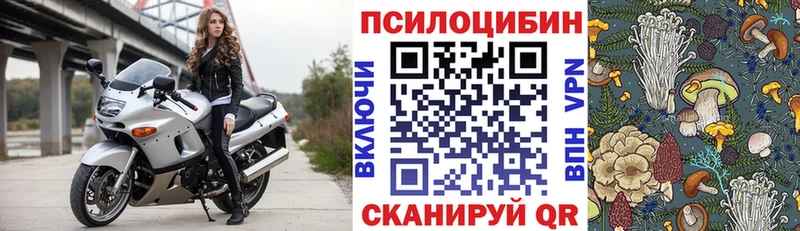 Псилоцибиновые грибы Cubensis  Купить где  Урень 